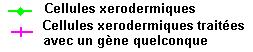 resultat des reherches